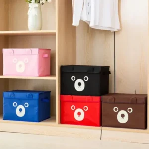 Cute Storage Box Pakistan