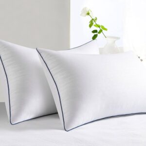 Special Premium Polyester Microfiber Filling Pillow – Vacuum Packed